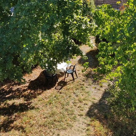 Rendez-Vous Sous Le Tilleul, En Cevennes. Molieres-Cavaillac Eksteriør billede